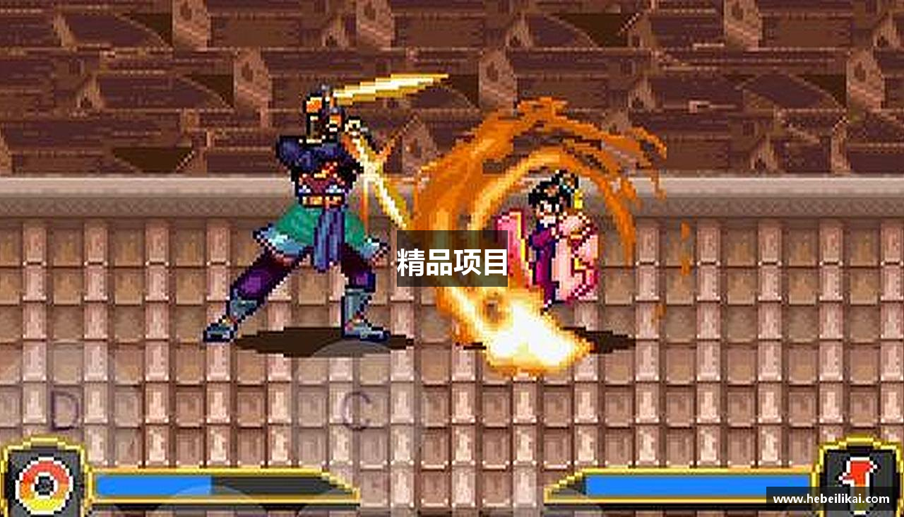 精品项目